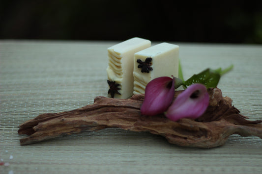 Vegan Pure Soap | 120g